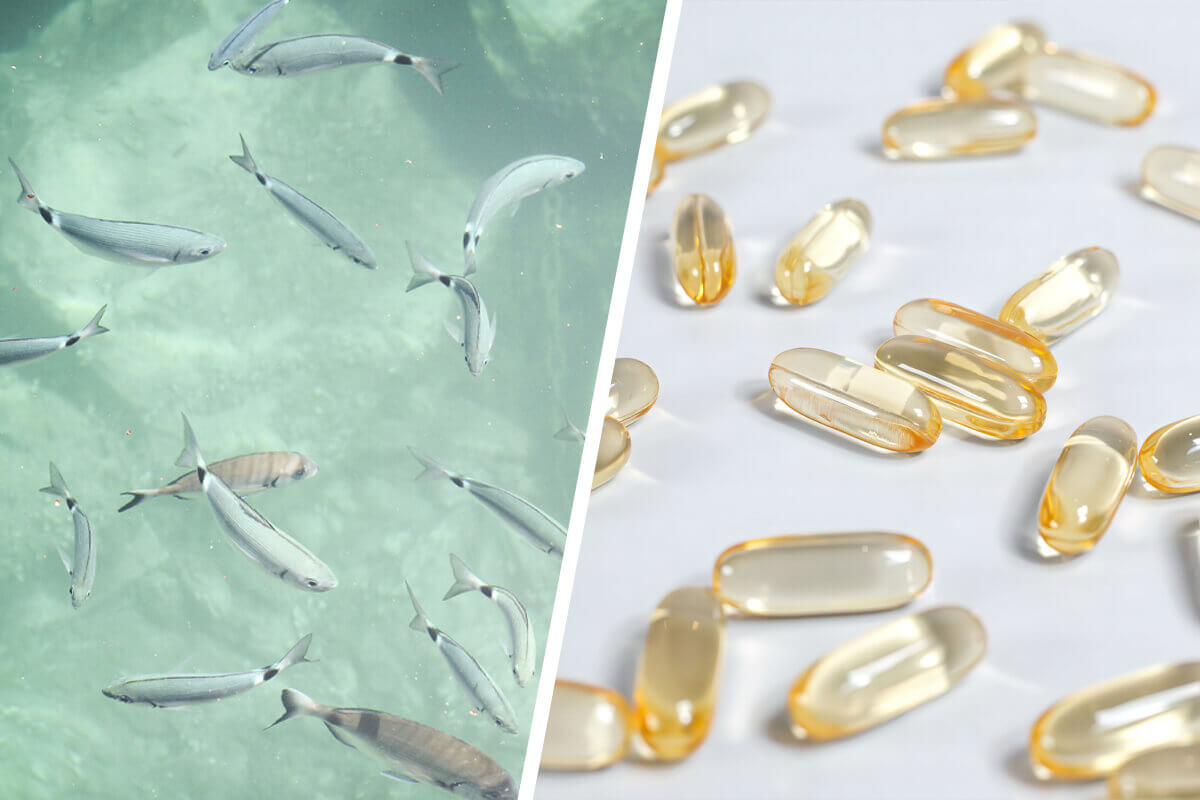 Collage mit schwimmenden Fischen und Fischölkapseln