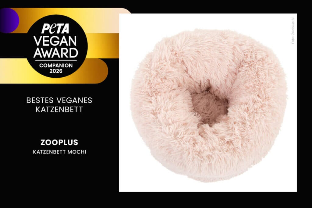 Bestes veganes Katzenbett 2026: Katzenbett Mochi von zooplus