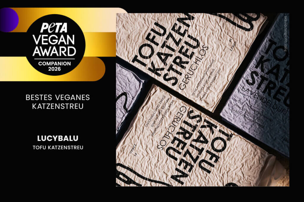 Bestes veganes Katzenstreu 2026: TOFU Katzenstreu von LucyBalu