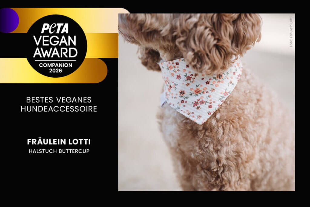Bestes veganes Hundeaccessoire 2026: Halstuch Buttercup von Fräulein Lotti