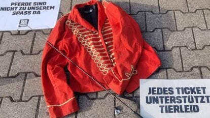 Demonstration gegen Cavalluna