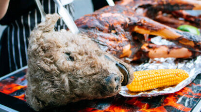 PETA Demo Hunde grillen in Innenstädten