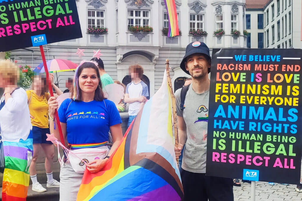 PETA Streetteam CSD Demo