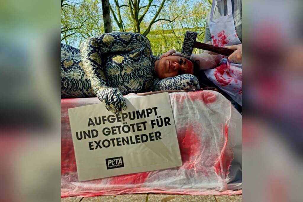 Streetteam-Leitung Stefanie aus Düsseldorf als Schlange verkleidet mit Schild "aufgepumpt und getötet für Exotenleder".