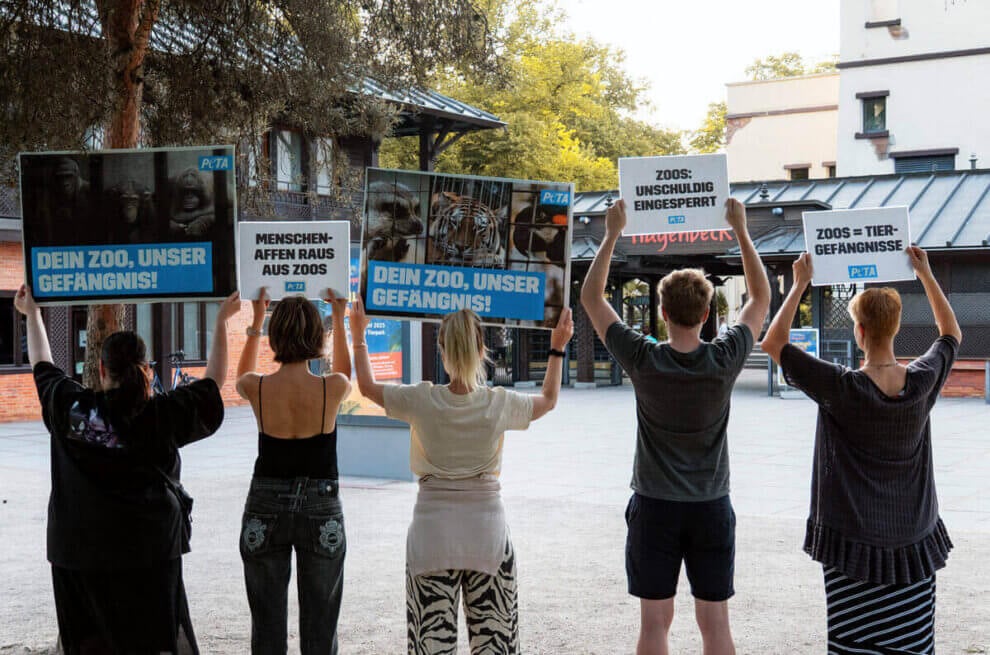 PETA Aktion Zoo Hagenbeck. Personen mit Demo-Schildern.