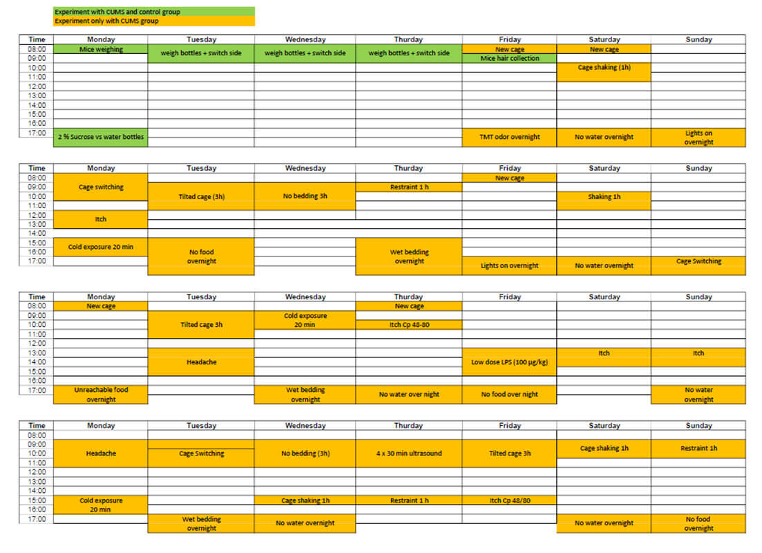 Mäuse-Stressoren-Zeitplan