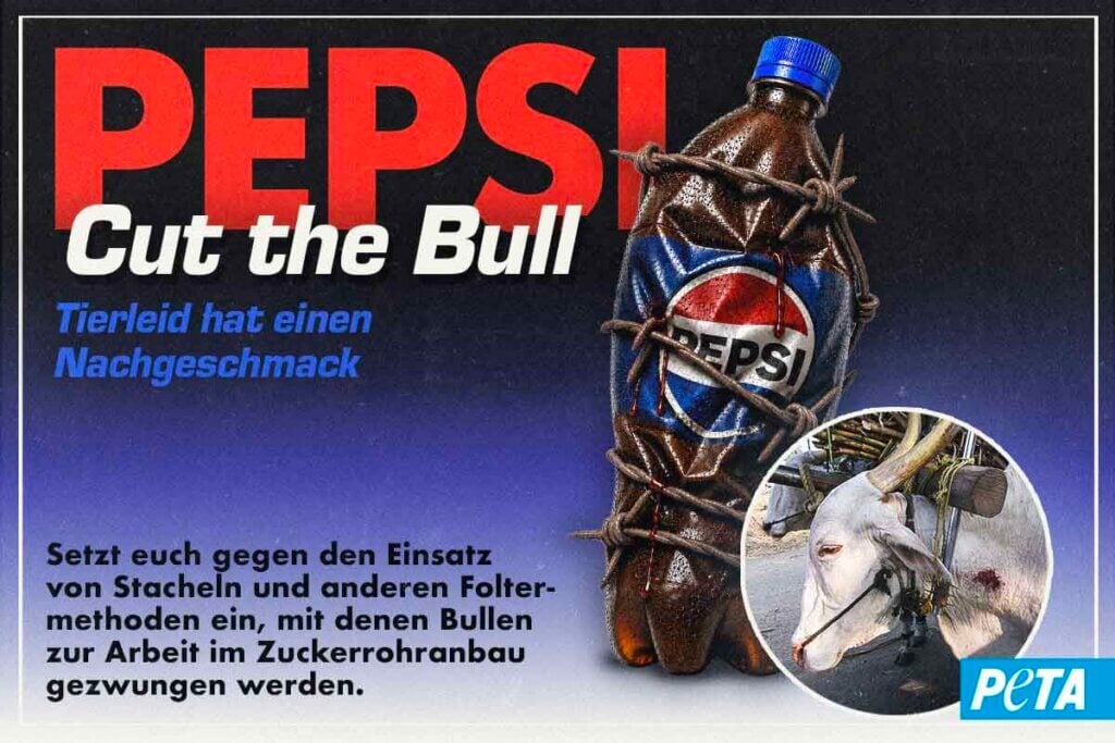 Pepsi muss aufhören Zucker zu beziehen, fü den Bullen auf Zuckerrohrplantagen ausgebeutet wurden - Petition!