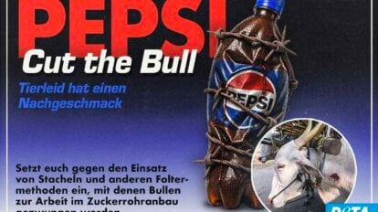 Pepsi muss aufhören Zucker zu beziehen, fü den Bullen auf Zuckerrohrplantagen ausgebeutet wurden - Petition!