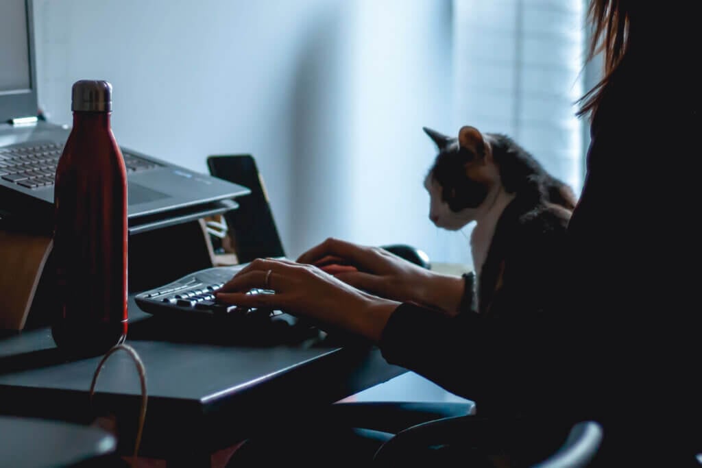 Person sitzt am Schreibtisch und tippt mit Katze daneben
