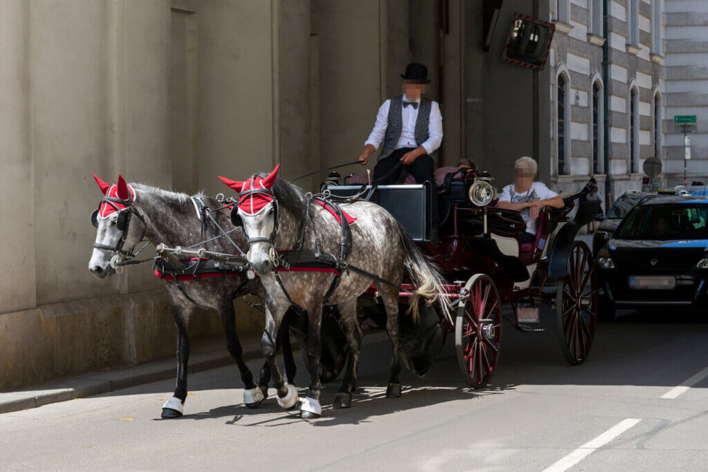 Fiakerfahrt, bei der Pferde Touristen per Kutsche durch die Stadt und den Verkehr mit Autos ziehen