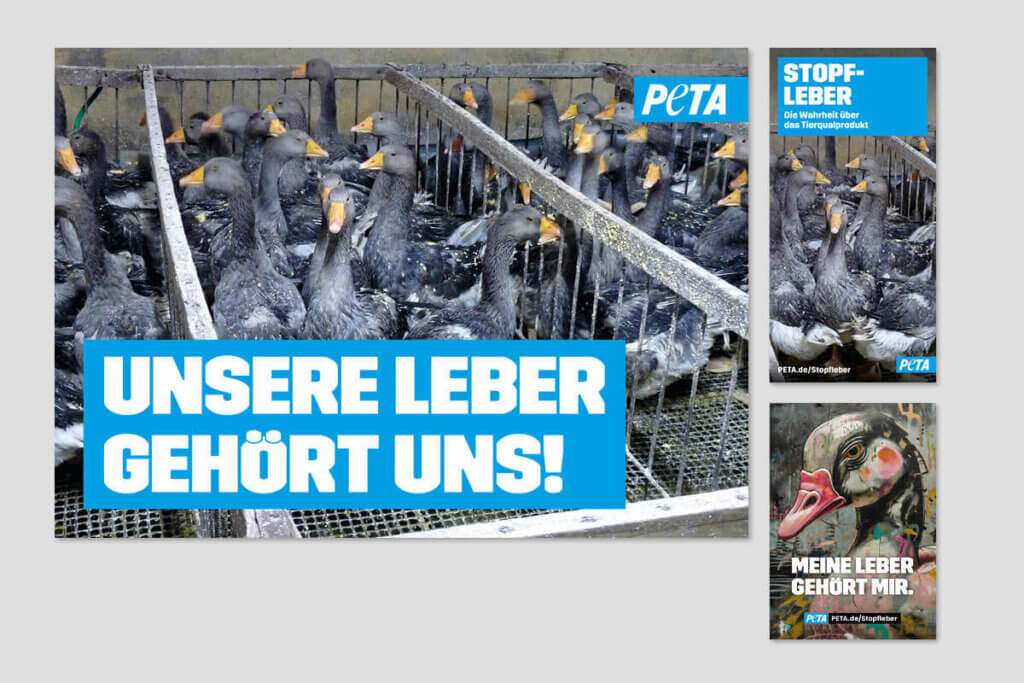 PETA DEMOPAKET mit Plakaten und Flyern zu Stopfleber