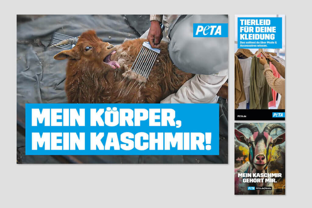 PETA DEMOPAKET mit Plakaten und Flyern zu Kaschmirwolle