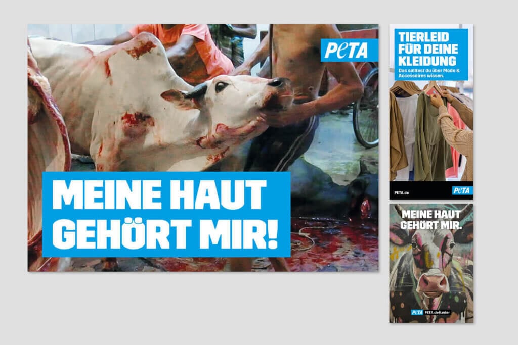 PETA DEMOPAKET mit Plakaten und Flyern zu Leder