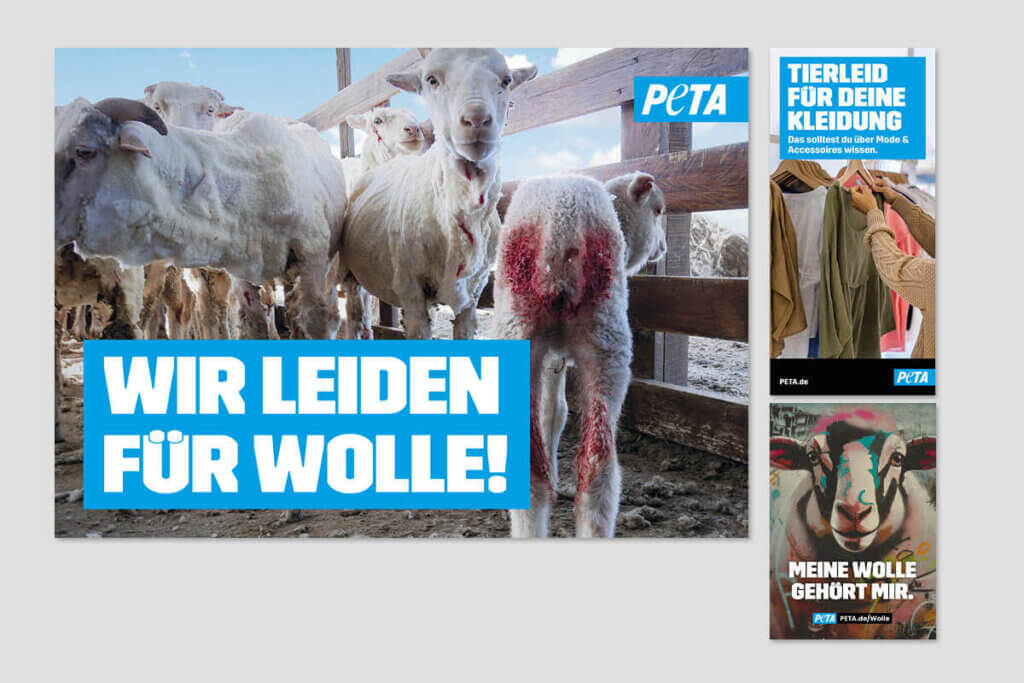 PETA DEMOPAKET mit Plakaten und Flyern zu Wolle
