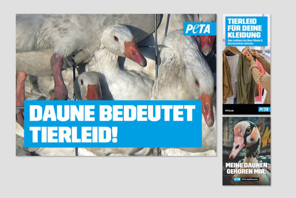 PETA DEMOPAKET mit Plakaten und Flyern zu Daunen