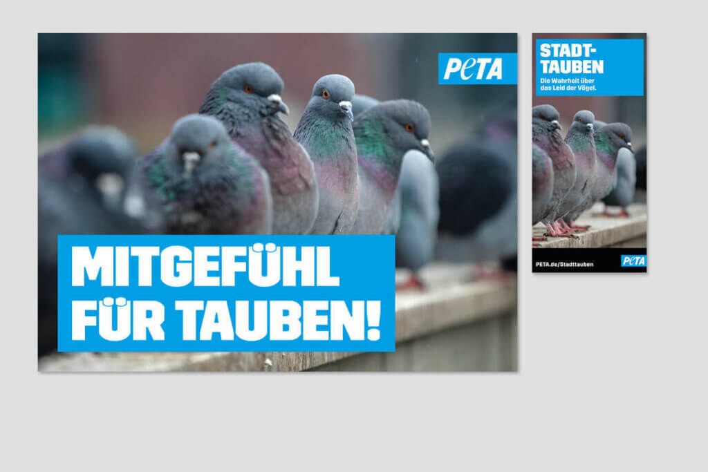 PETA DEMOPAKET mit Plakaten und Flyern zu Tauben