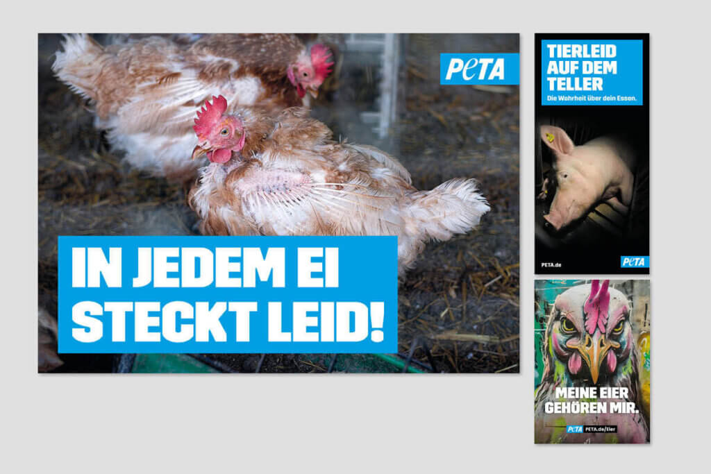 PETA DEMOPAKET mit Plakaten und Flyern zu Eier