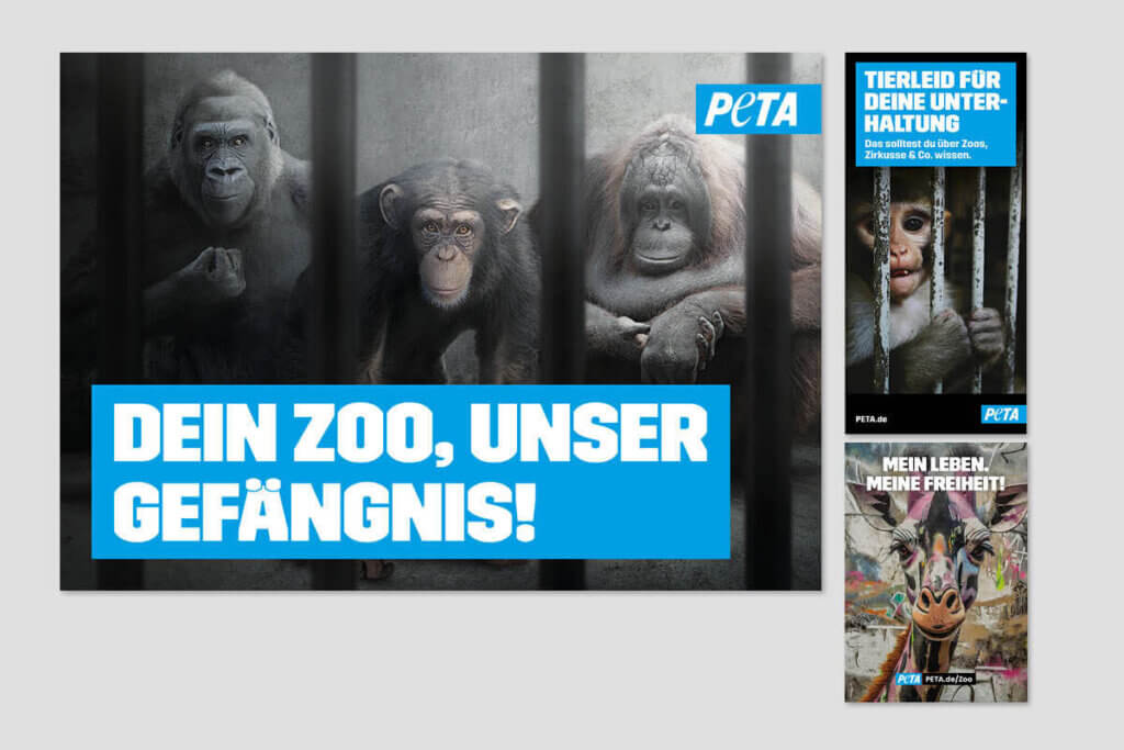 PETA DEMOPAKET mit Plakaten und Flyern zu Zoos mit Affenmotiv