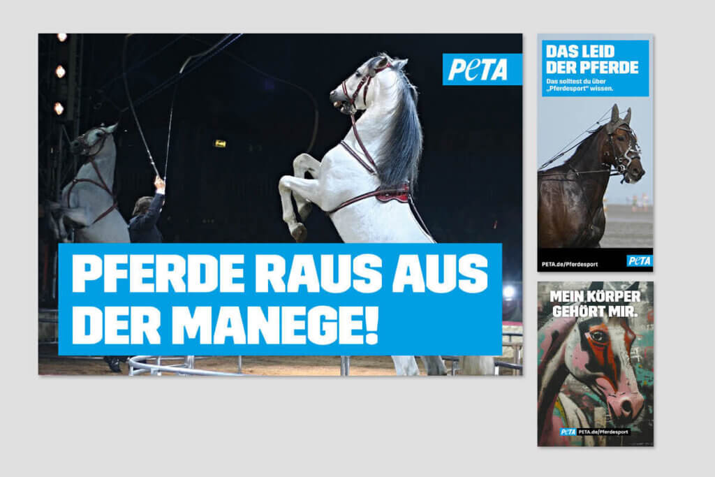 PETA DEMOPAKET mit Plakaten und Flyern zu Pferdeshows