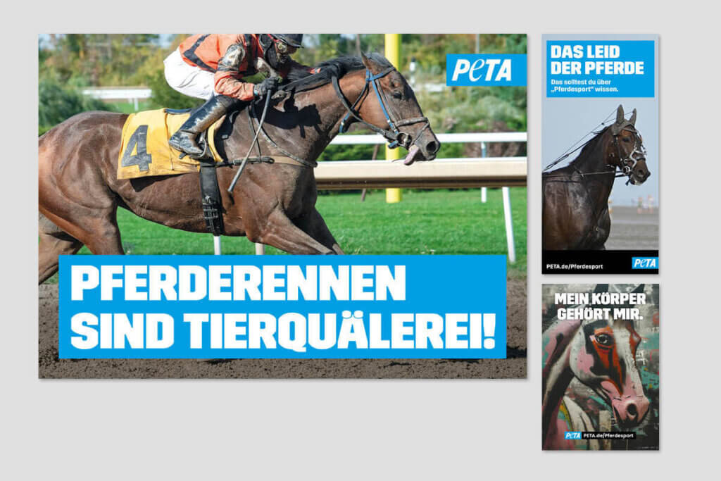 PETA DEMOPAKET mit Plakaten und Flyern zu Pferderennen