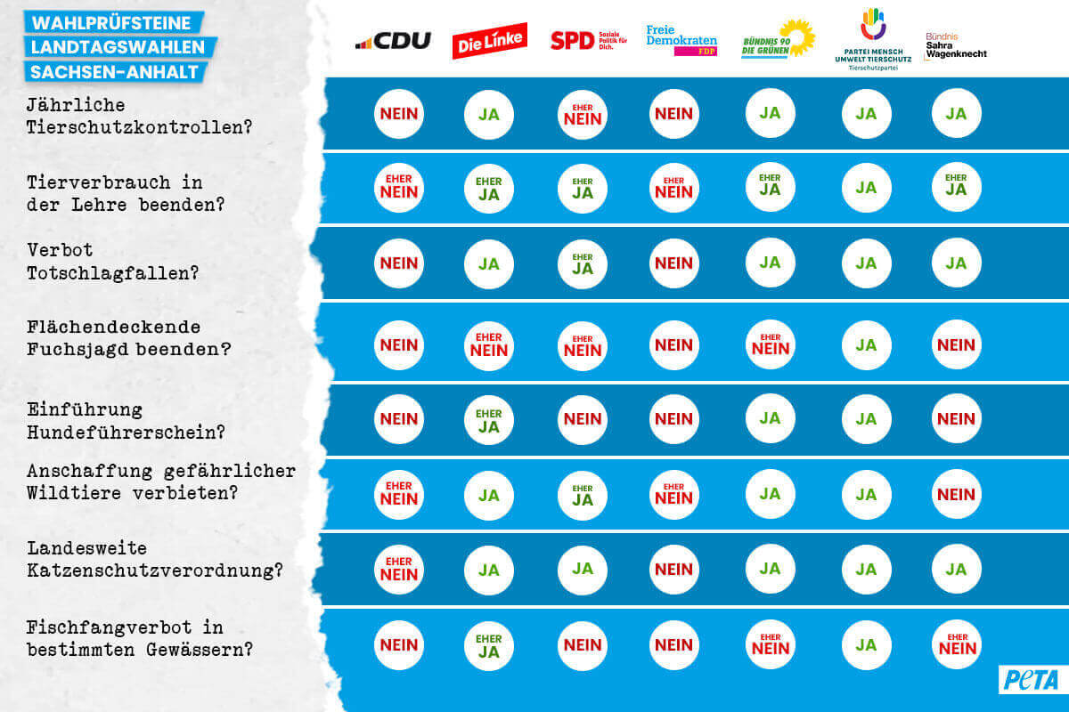 Parteien im Tierschutz-Check: Tabelle zur Landtagswahl Sachsen-Anhalt 2026