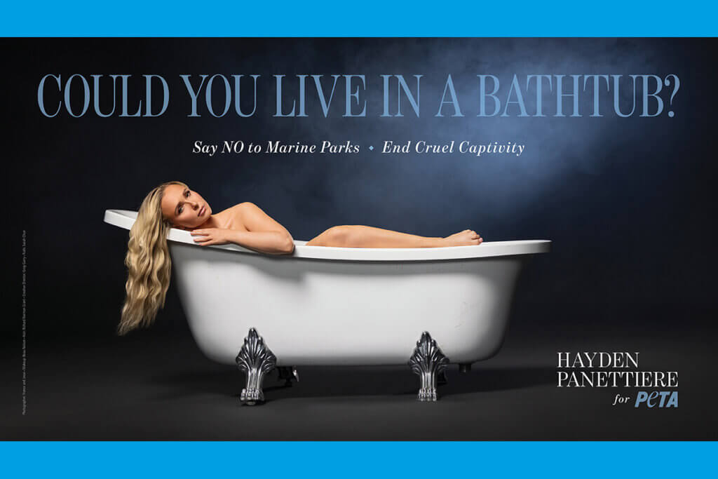 PETA-Kampagne gegen Tierleid in Delfinarien mit Hayden Panettier