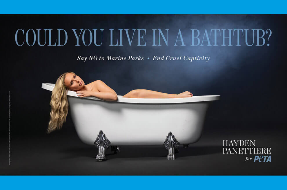 PETA-Kampagne gegen Tierleid in Delfinarien mit Hayden Panettier