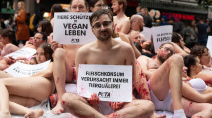 Leicht bekleidete Menschen auf einem Haufen zur Demonstration gegen Fleischkonsum