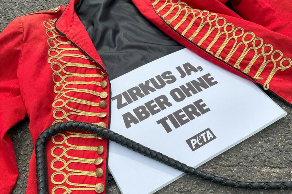 "Dompteurs"-Jacke auf dem Boden mit einer Peitsche und einem Demoschild mit Aufrischt: "Zirkus ja, aber ohne Tiere"
