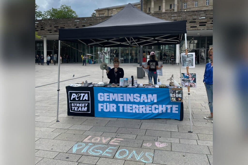 Peta Streetteam Stand mit Personen und Banner zum Thema Tauben