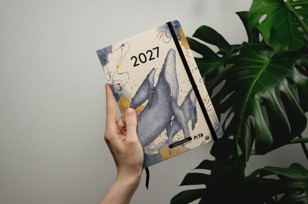 hand hält matabooks kalender 2027
