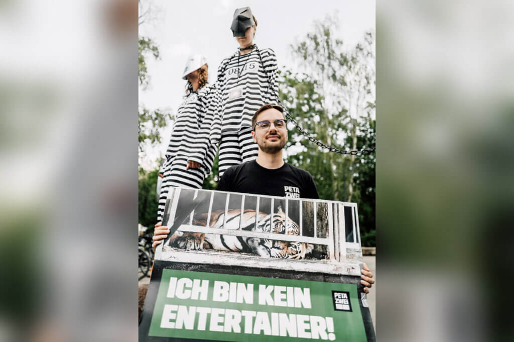 Person mit Banner gegen Zoos: Motiv Tiger hinter Gittern "Ich bin kein Entertainer"