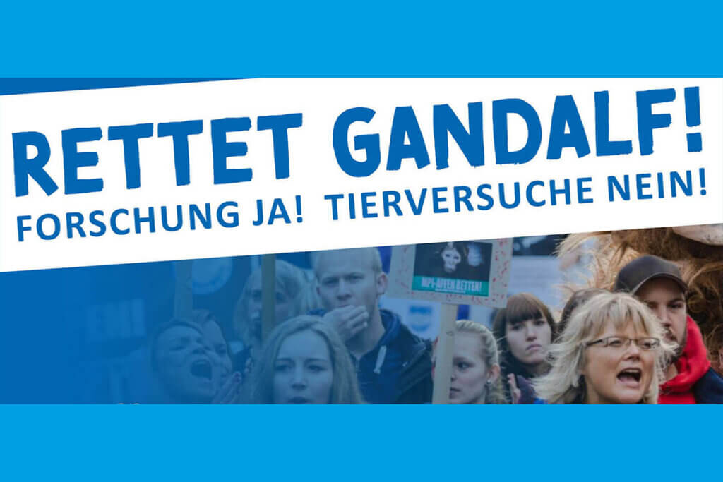 Große Demo gegen Tierversuche an Affen